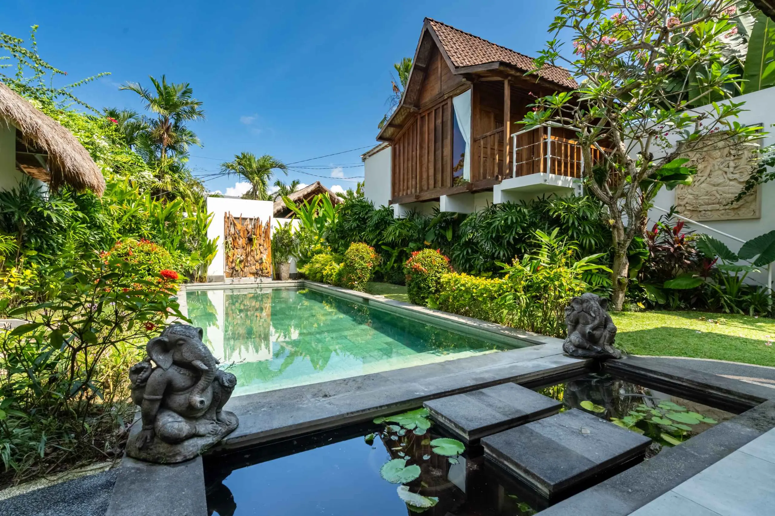 The garden & pool