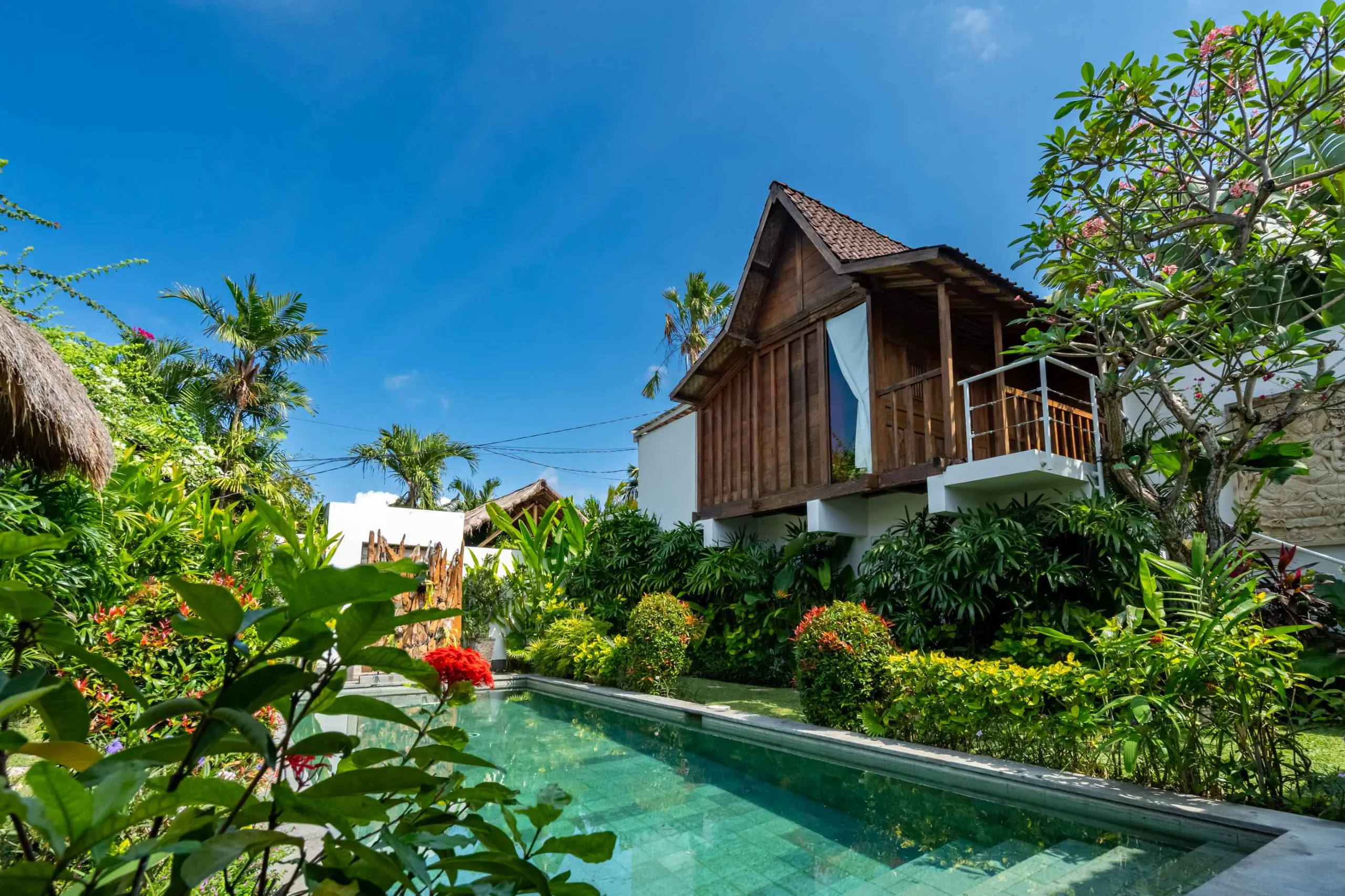The garden & pool